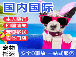 运城空运公司国际宠物托运 【国